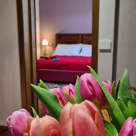 Zi Bitta - Guest House Palmanova Luaran gambar