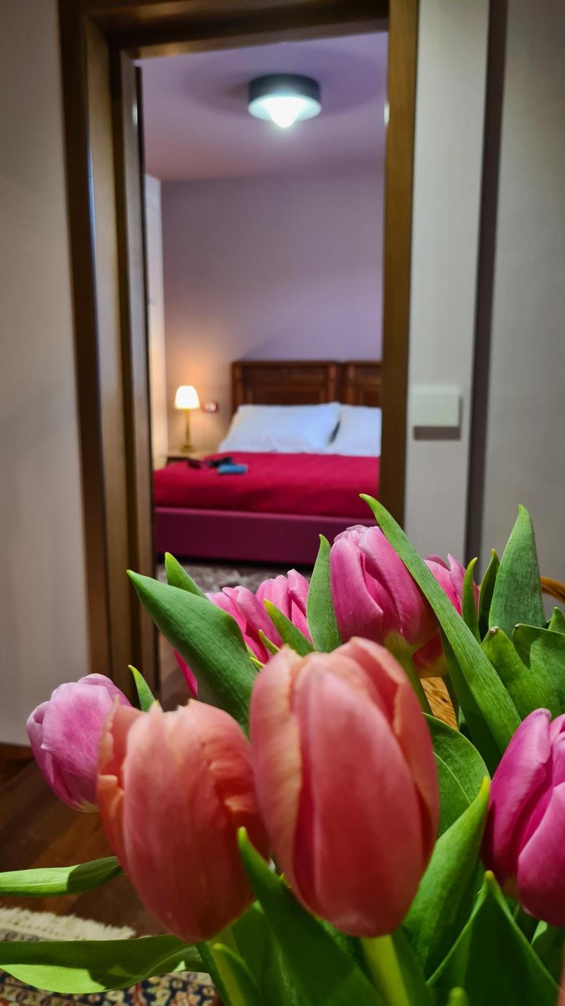 Zi Bitta - Guest House Palmanova Luaran gambar